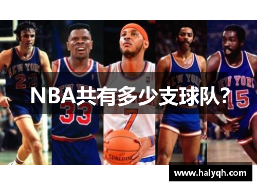 NBA共有多少支球队？